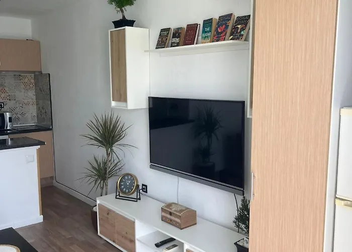 Estudio Delfines 4 *