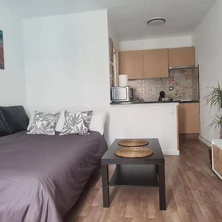 Apartament Estudio Delfines 4 *