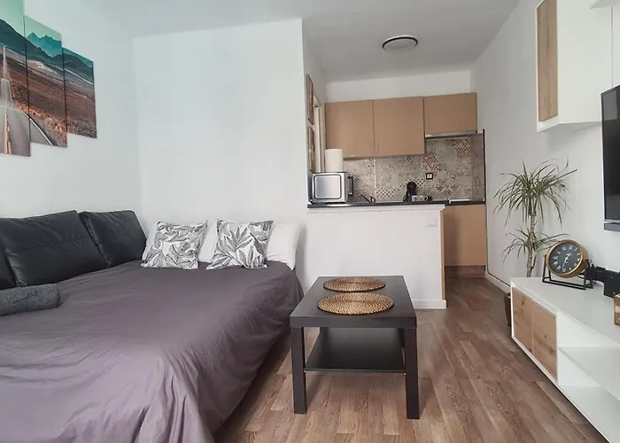 Apartmán Estudio Delfines 4 *